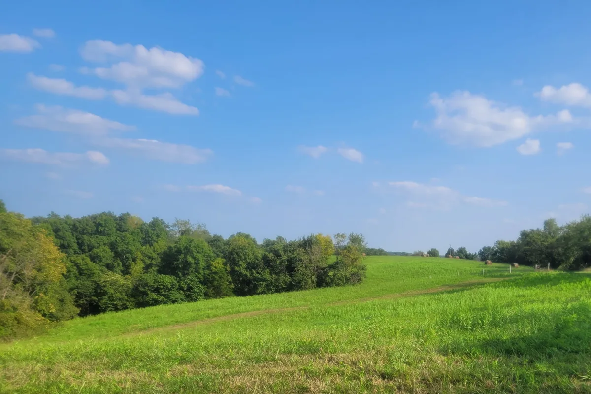 Open mown ground rising to a ridge, with round bales and a fence line along the crest
