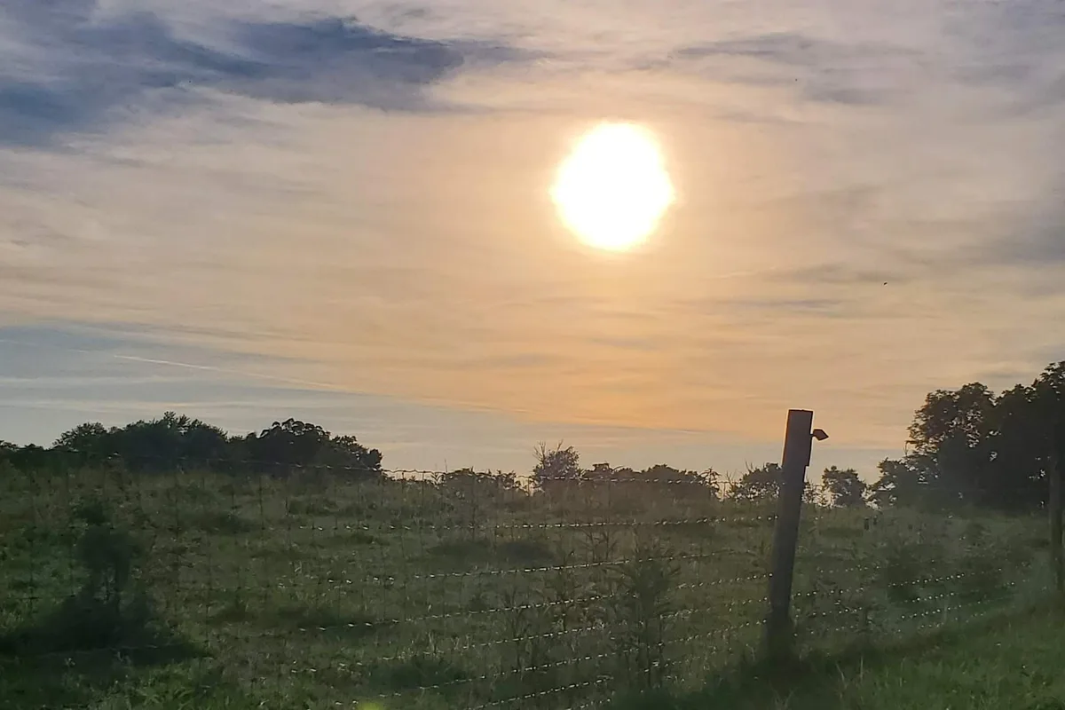 Sun rising over a misty field and fence line on the property
